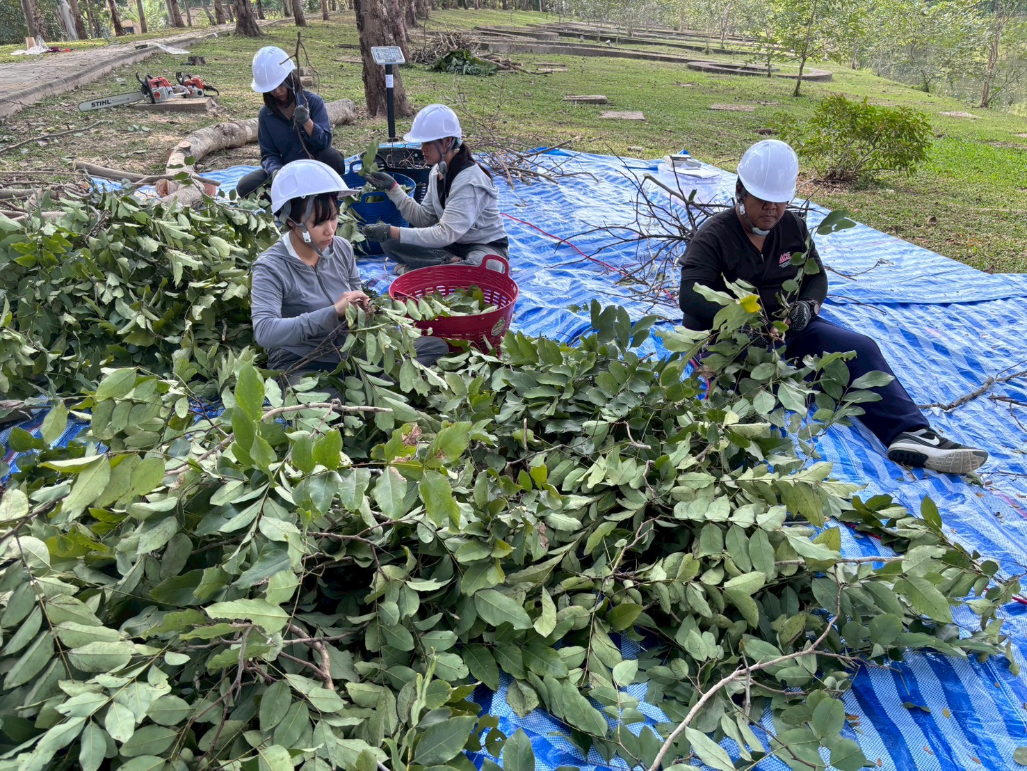 รูปกิจกรรมเพิ่มเติม