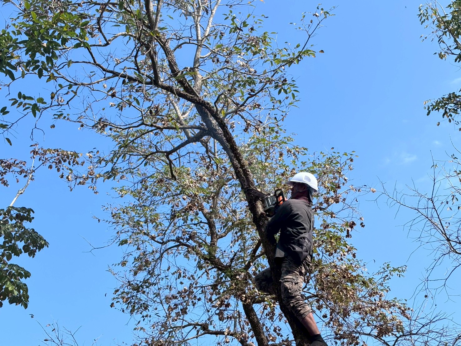 รูปกิจกรรมเพิ่มเติม