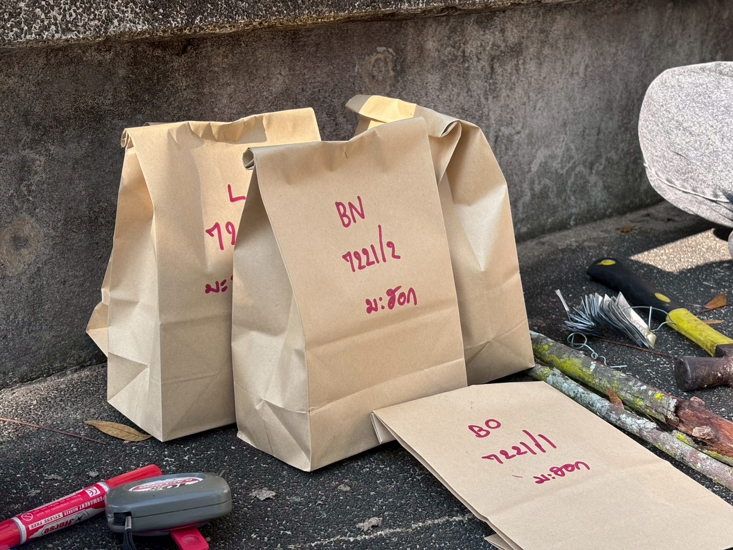 รูปกิจกรรมเพิ่มเติม