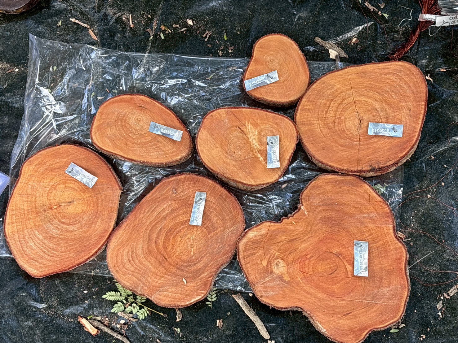 รูปกิจกรรมเพิ่มเติม