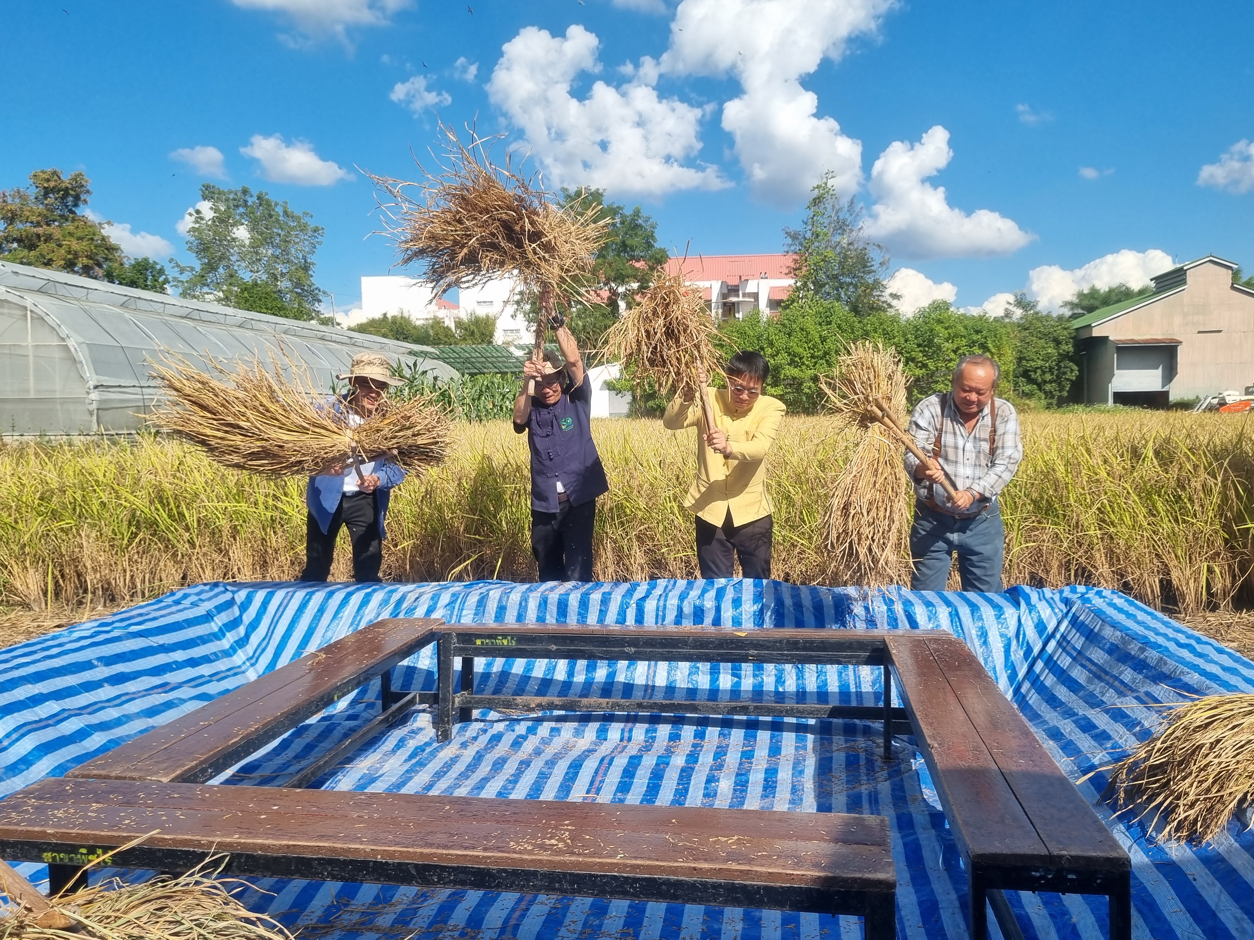 รูปกิจกรรมเพิ่มเติม