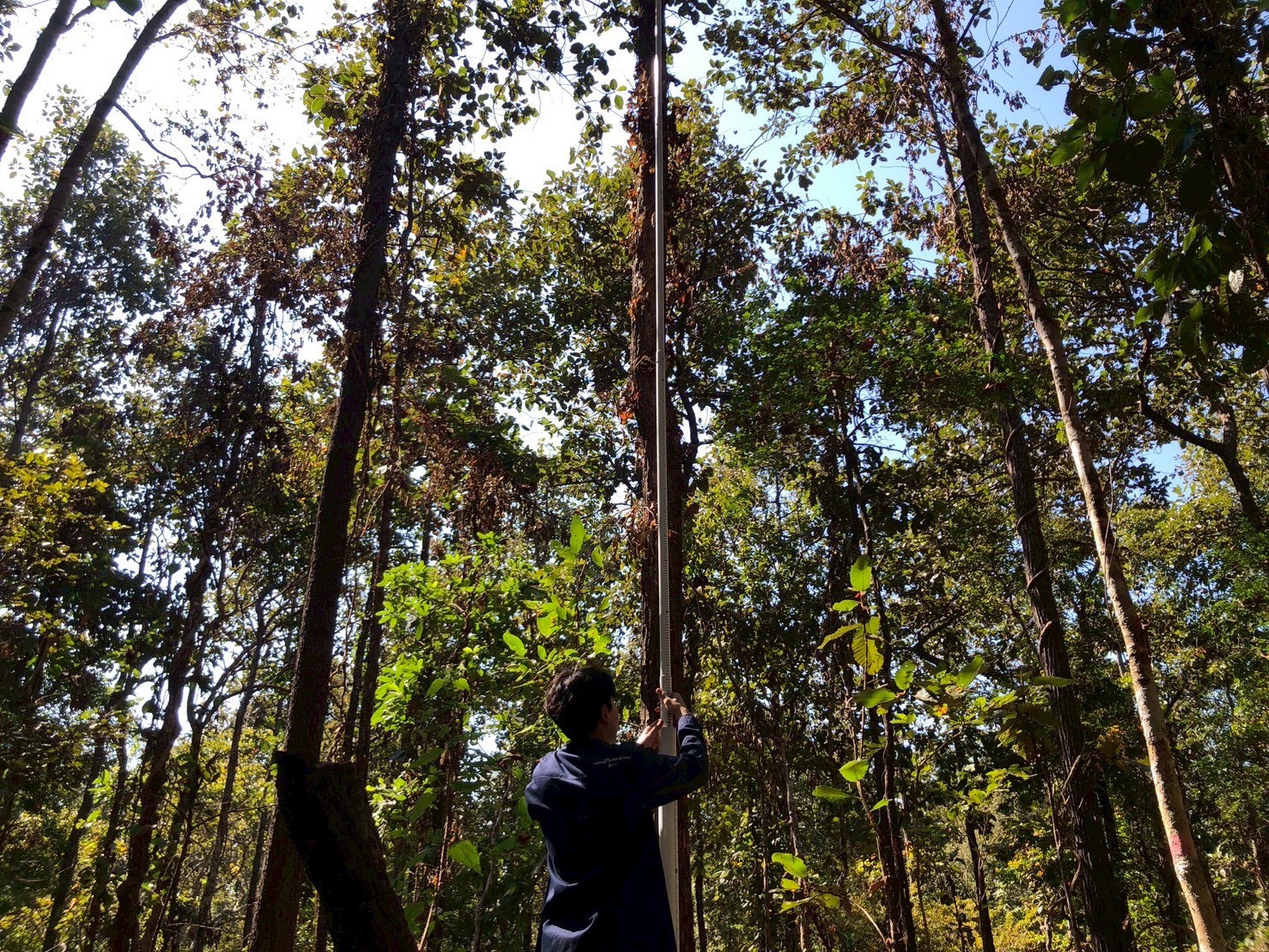 รูปกิจกรรมเพิ่มเติม