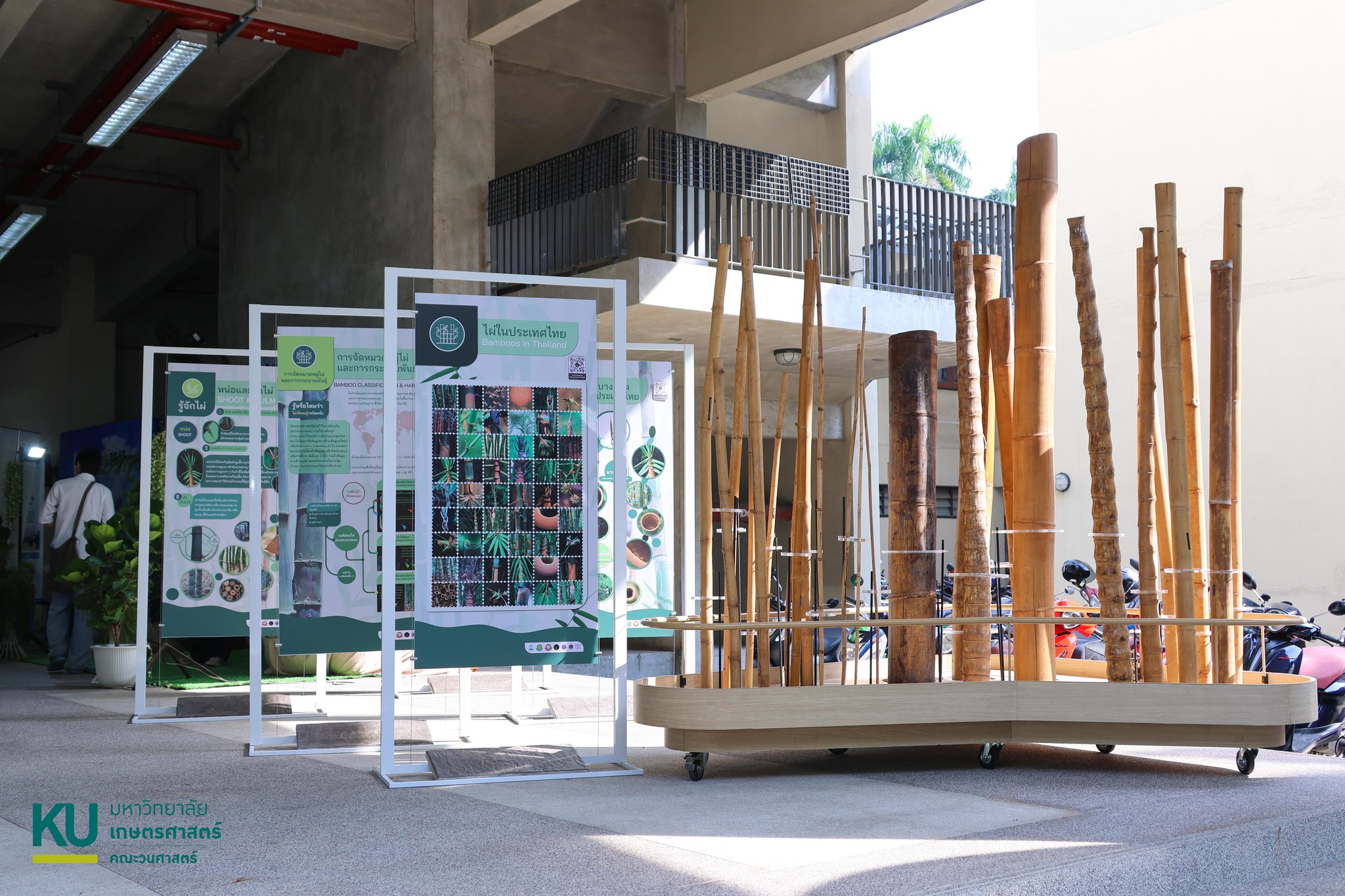 รูปกิจกรรมเพิ่มเติม