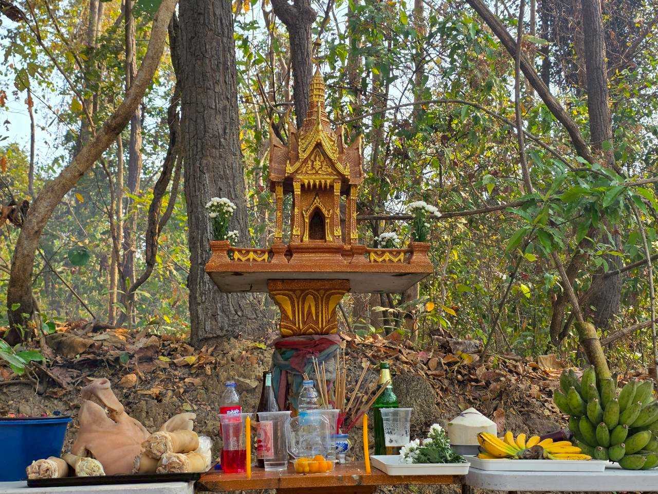 รูปกิจกรรมเพิ่มเติม