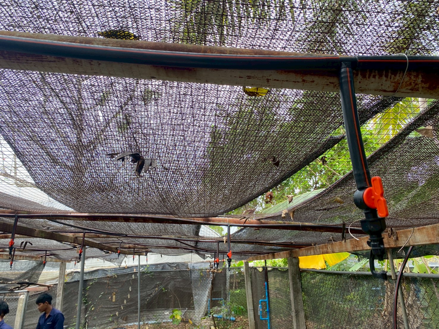 รูปกิจกรรมเพิ่มเติม