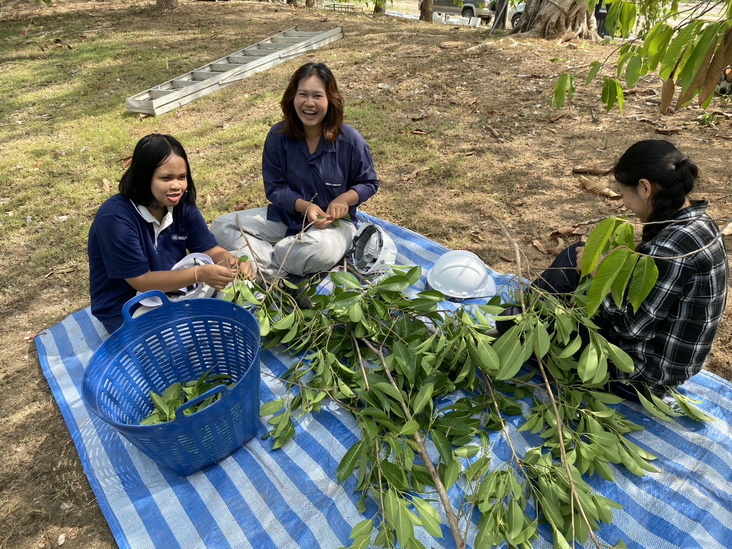 รูปกิจกรรมเพิ่มเติม