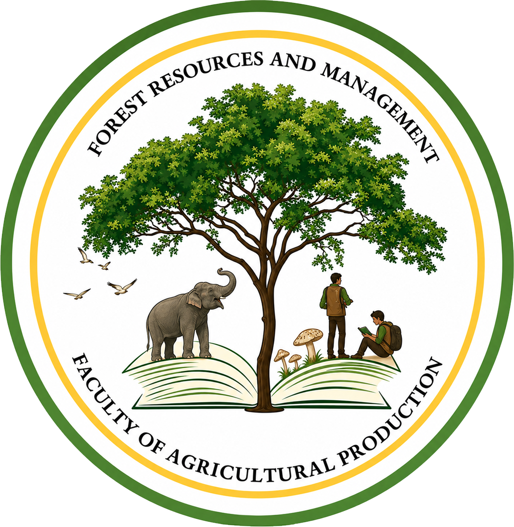 FRM Logo
